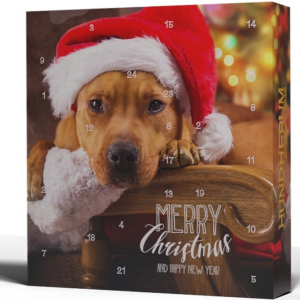 Adventskalender "Hundherum"